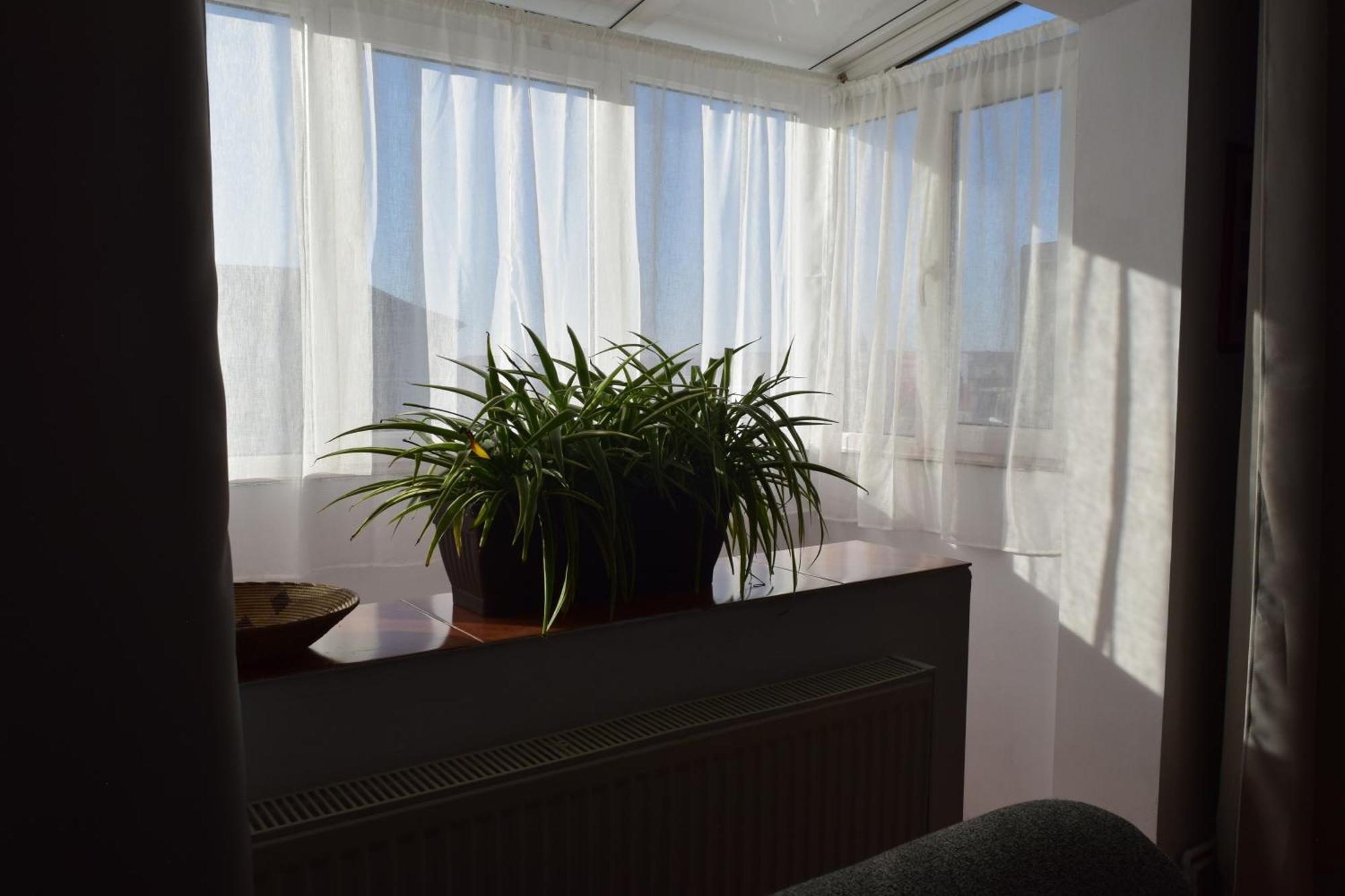 Apartament Simina Тимишоара Экстерьер фото